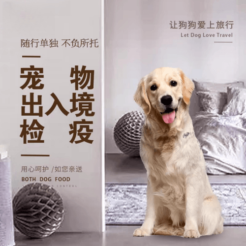 屯昌县宠物托运到哥伦比亚猫狗宠物入境规定和