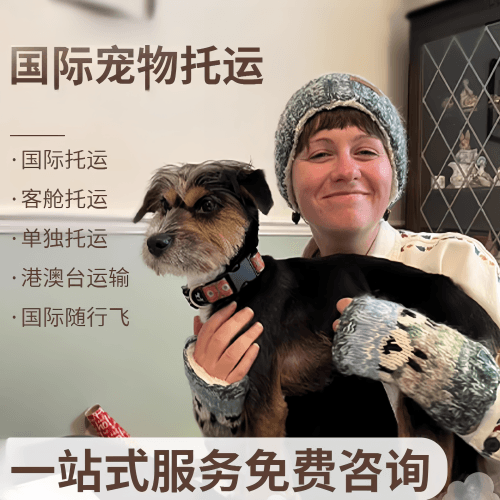 屯昌县国际宠物托运到阿根廷宠物入境规定和要