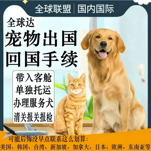 屯昌县宠物托运到柬埔寨宠物入境规定和要求