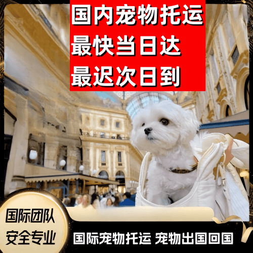 屯昌县到澳大利亚（澳洲）宠物入境规定和要求