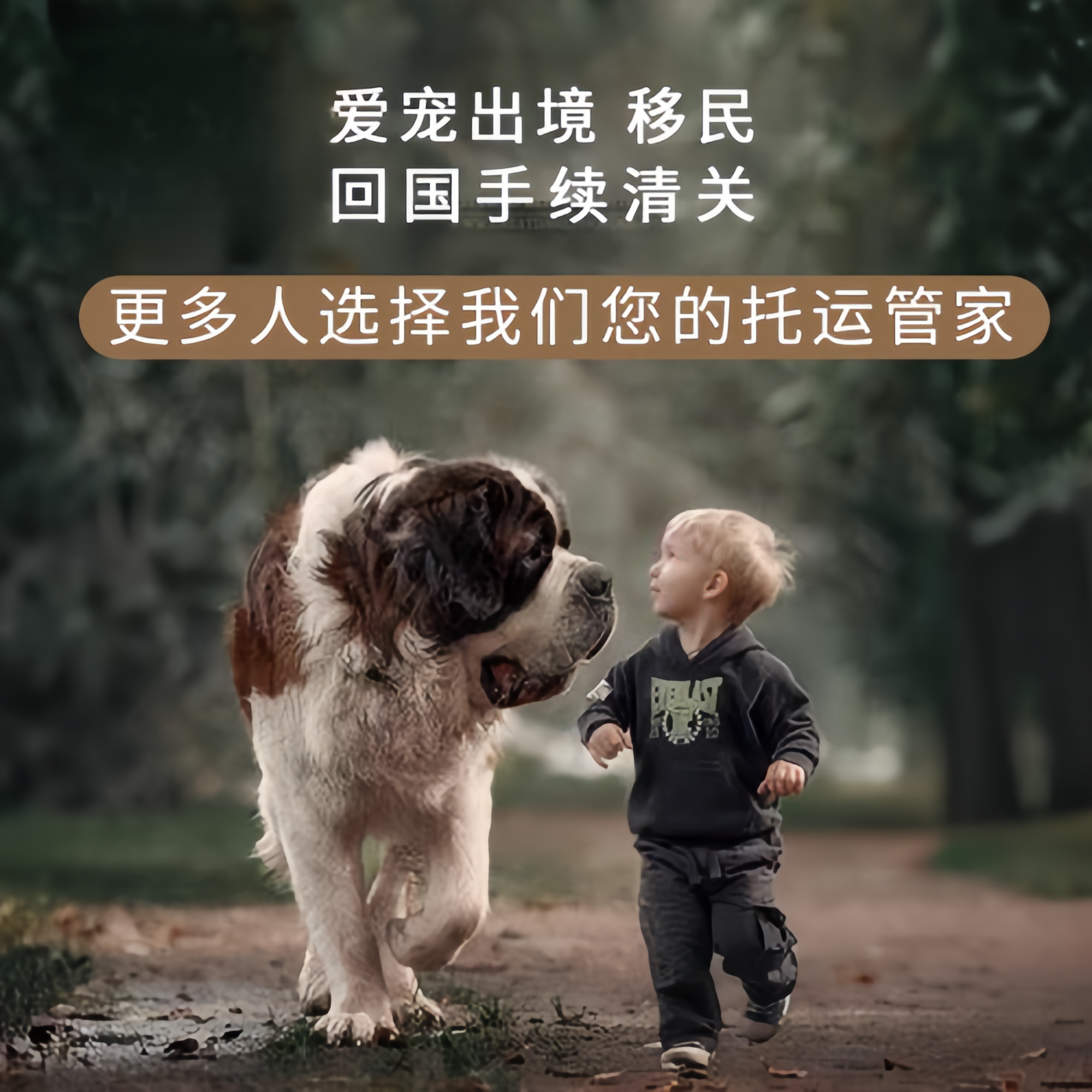 满财屯昌县宠物全球达宠物托运在遵守入境目的地政策的条件