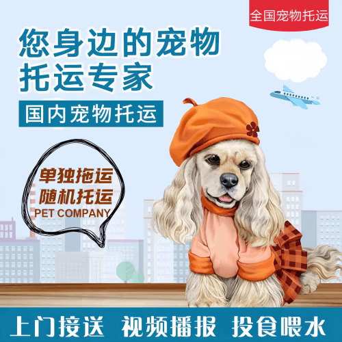 满财屯昌县宠物全球达宠物托运作为专业的宠物运输代理机构